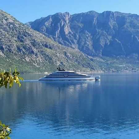 Magnolia Adriatic Lejlighed Kotor Eksteriør billede
