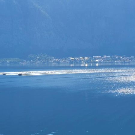 Magnolia Adriatic Lejlighed Kotor Eksteriør billede