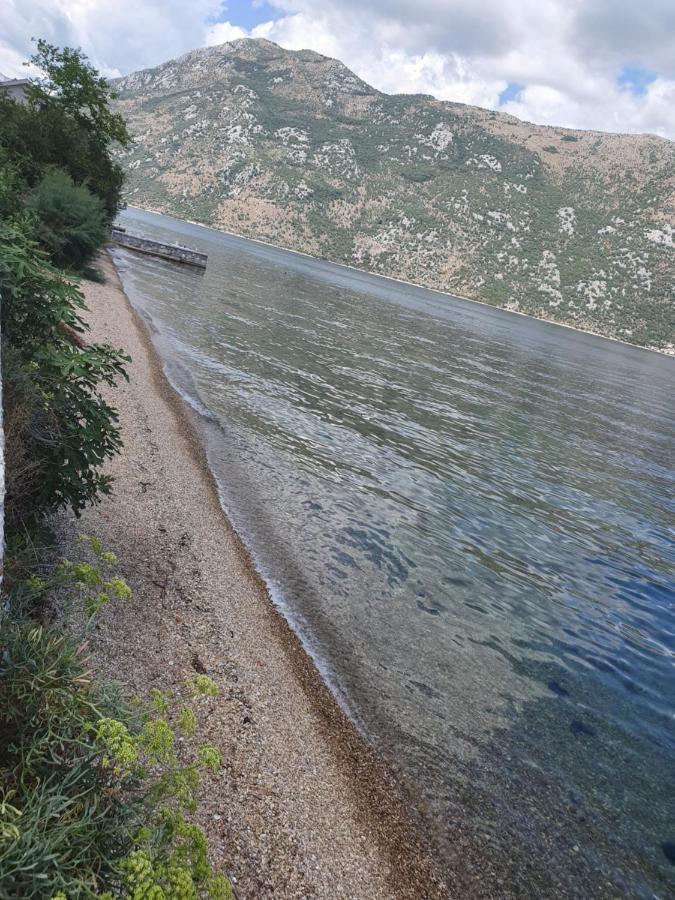 Magnolia Adriatic Lejlighed Kotor Eksteriør billede