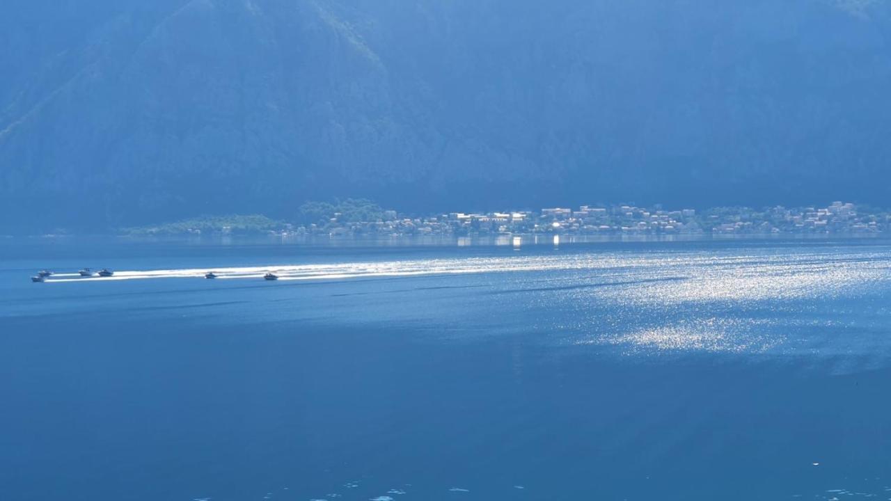 Magnolia Adriatic Lejlighed Kotor Eksteriør billede